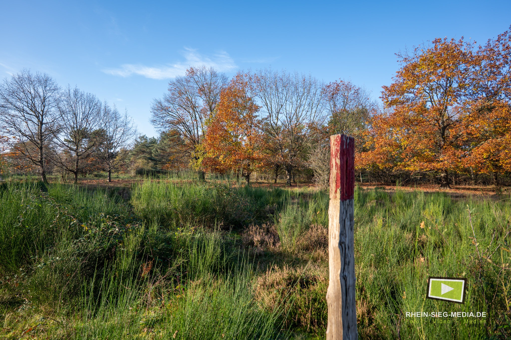 Heidelandschaft im Herbst
