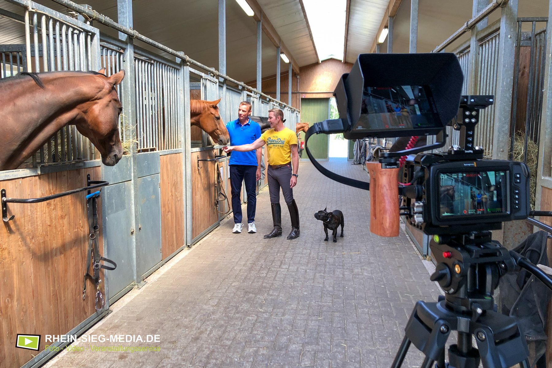 Imagefilm Reitstall Pferdehof Videoproduktion Unternehmensvideo